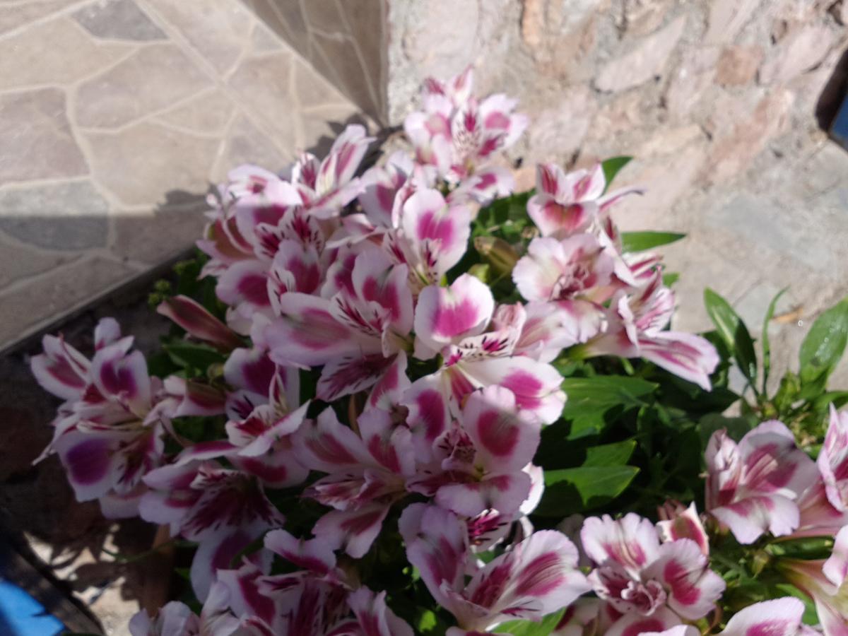 Paradis * Archangelos (Rhodes)
